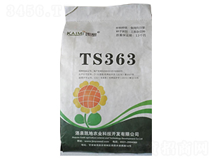 TS363向日葵種子-酒玉種業(yè)