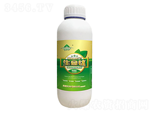 �����-�ü�-�V���ƈD