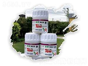 ȫ���϶�Ԫ΢��-΢��-��(sh��)������