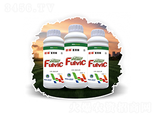 ��Ȼ����������-��(sh��)������