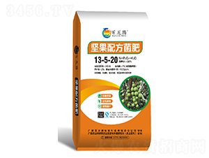 ��(ji��n)���䷽����-�����v