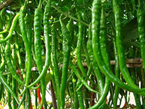 �ؼ�6-�����N��-�r(n��ng)֮��