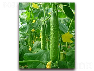 ���S2-�S�ϷN��-�r(n��ng)֮��