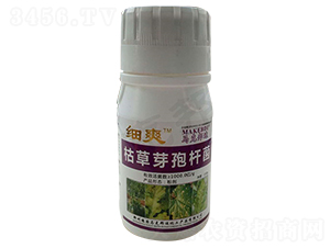 ƿ�b�ݲ�ѿ�ߗU��-��(x��)ˬ-�R�˰��