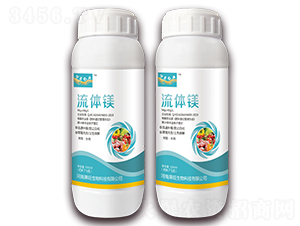 ���w�V-��������