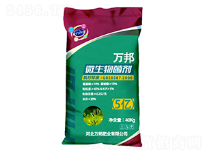 ΢�������-�f(w��n)��ʘI(y��)