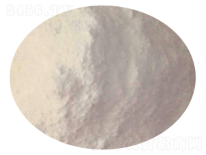 ���ʷ۠���Y(ji��)�K��-ؐ���Z�r(n��ng)�I(y��)