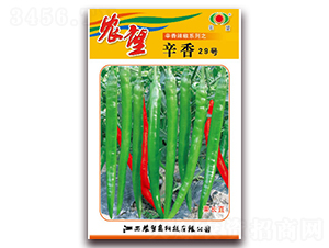 ����29̖-�����N��-�r(n��ng)��