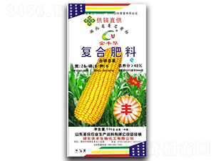 ���׌�(zhu��n)�Ï�(f��)�Ϸ���28-6-6-ʥ���r(n��ng)�I(y��)