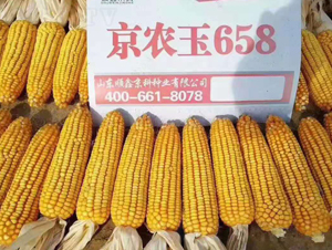 ���r(n��ng)��658-���׷N��-�r(n��ng)�(l��)