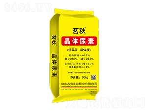 ���w����-����-����