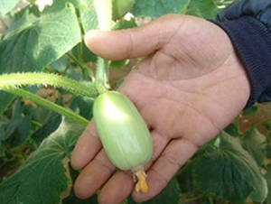 �M��Ĵָ�S��-�S�ϷN��-�r(n��ng)֮��