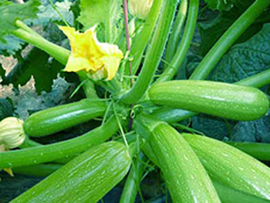 ����6-�����J�N��-�r(n��ng)֮��(r��n)