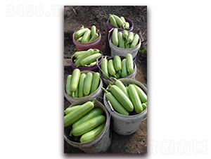 �r(n��ng)֮������һ̖�����J�N��