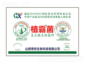 ��(f��)��΢������N-ֲ�Ծ�-��������