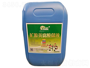 �VԴ�S�����Һ-����