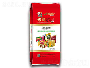 ̼��׷ʩ��-���w��-���r(n��ng)ʩ���S