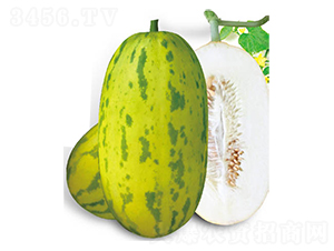 ���������-��ϷN��-�߶˷N�I(y��)