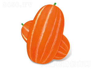 ���o(j��)����һ̖(h��o)���-��ϷN��-�߶˷N�I(y��)