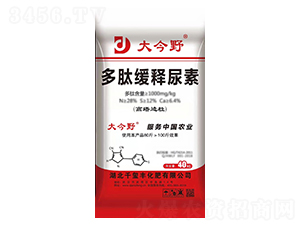 ���ľ������-���Ұ-ǧ�t�S