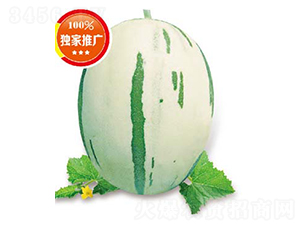 �¾G��-��ϷN��-�߶˷N�I(y��)