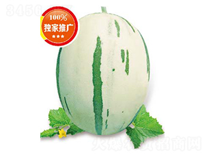 �G��(M15)-��ϷN��-�߶˷N�I(y��)