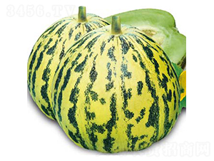 ����-��ϷN��-�߶˷N�I(y��)