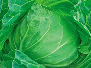 �н�����-���{(l��n)�N��-�н��N�I(y��)