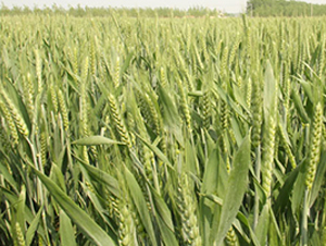 ����23-С���N��-�н��N�I(y��)