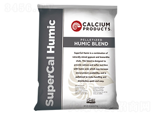 �����{�턩-������-��������