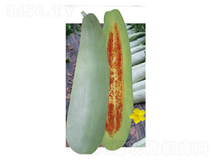 ������Ǵ�-��ϷN��-�߶˷N�I(y��)