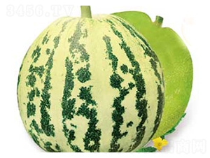 ����ϻ���-��ϷN��-�߶˷N�I(y��)