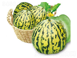 ����-��ϷN��-�߶˷N�I(y��)