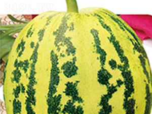 ���x����-��ϷN��-�߶˷N�I(y��)