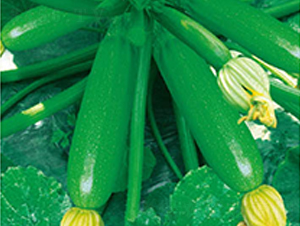 �߶˶���-�����J�N��-�߶˷N�I(y��)