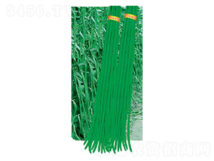 ���x�L��-���ǷN��-�߶˷N�I(y��)