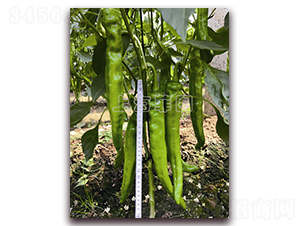 ���2073-�����N��-�ƈD�N�I(y��)