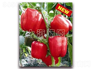 �A�ļt��-�𽷷N��-�ƈD�N�I(y��)