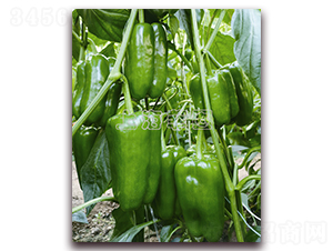 �L����018-�𽷷N��-�ƈD�N�I(y��)