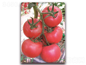 ���Ǵ�-��TY�۹����ѷN��-�ƈD�N�I(y��)