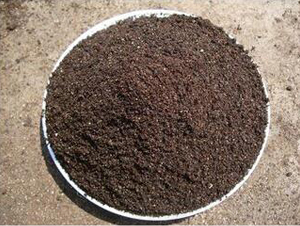 無土栽培基質(zhì)-惠格生態(tài)