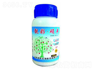 ���ʴT�S-���a