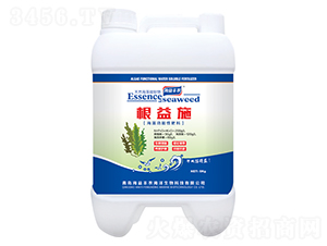 海藻功能性肥料-根益施-海益豐農(nóng)