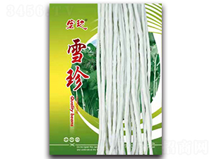 ѩ������-�����N��-���_