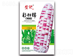 ����Ŵ168-���׷N��-���_