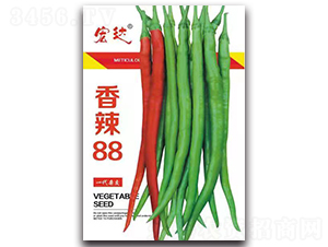 ����88-�����N��-���_(d��)