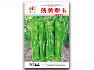 �������񣨱�Ƥ������-�����N��-���_(d��)