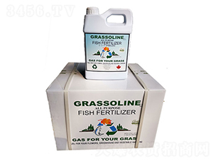 加拿大進口深海鮭魚油-瑞努堡-韋恩