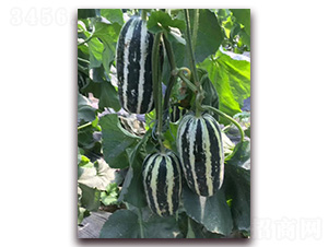 ��Ƥ��ϷN��-�A�~�N�I(y��)