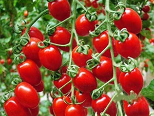 ʥŮ�����ҷ���-���ѷN��-�A�~�N�I(y��)